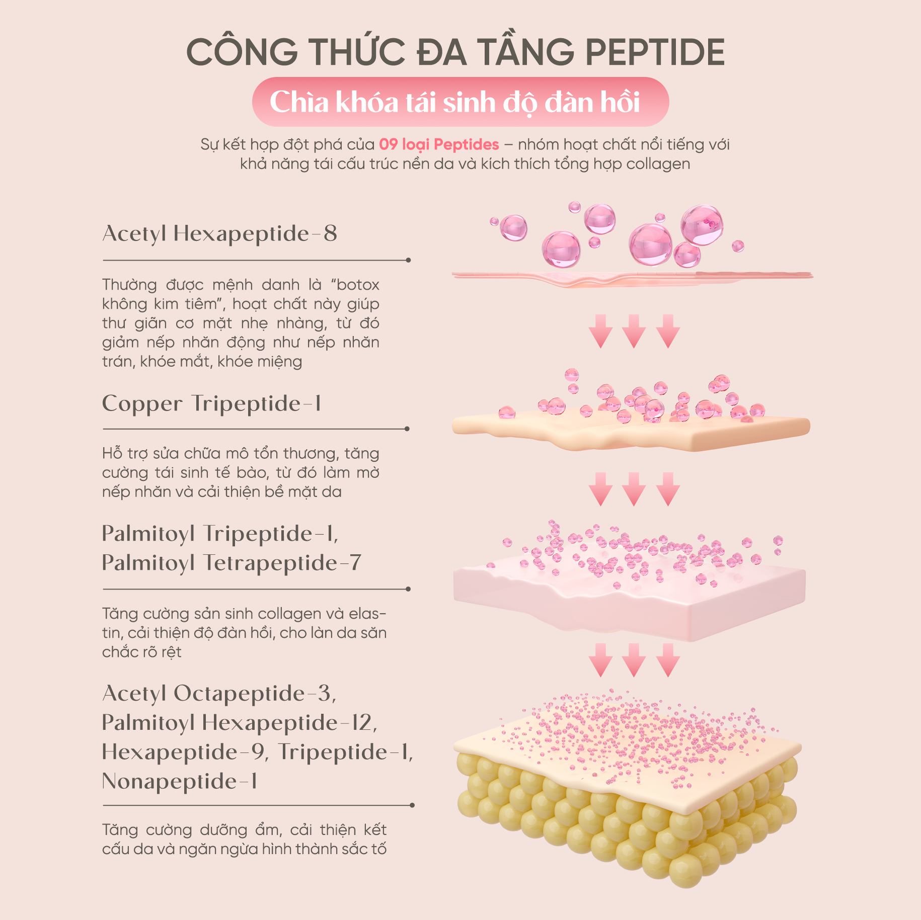  Kem dưỡng da JIWON Vital Ginseng Cream